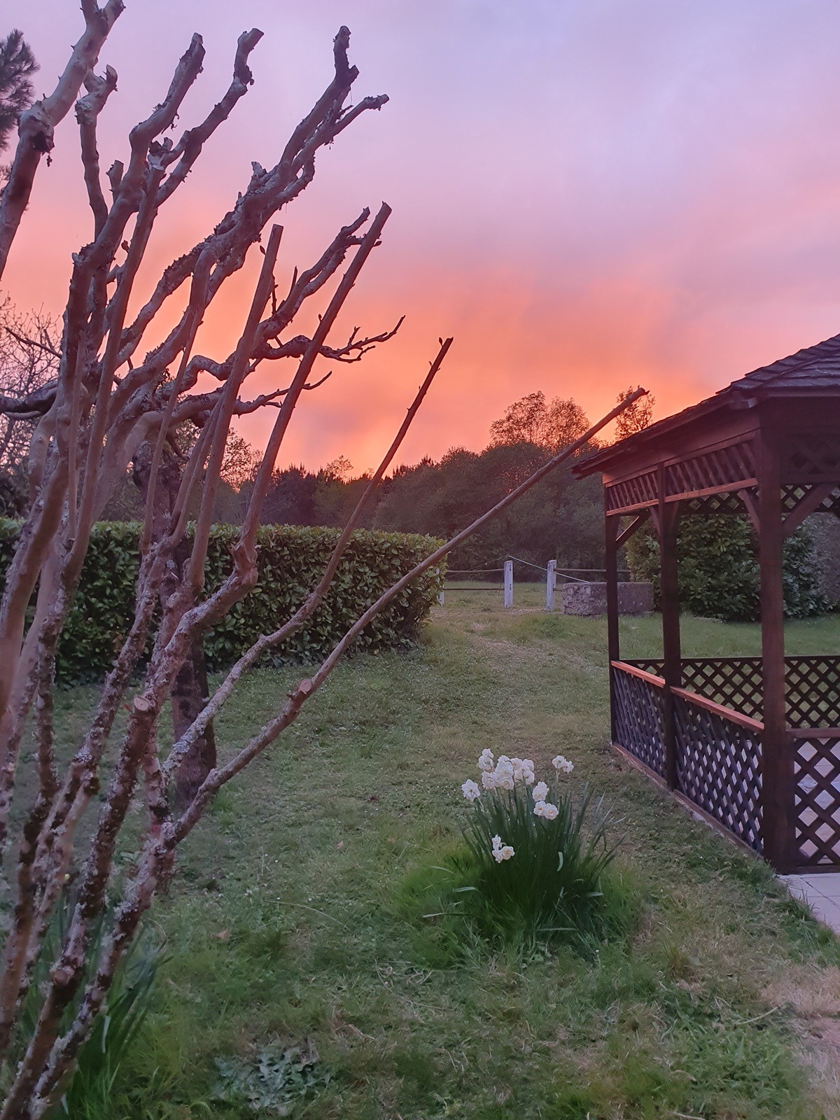 jardin_2